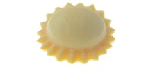 anolini