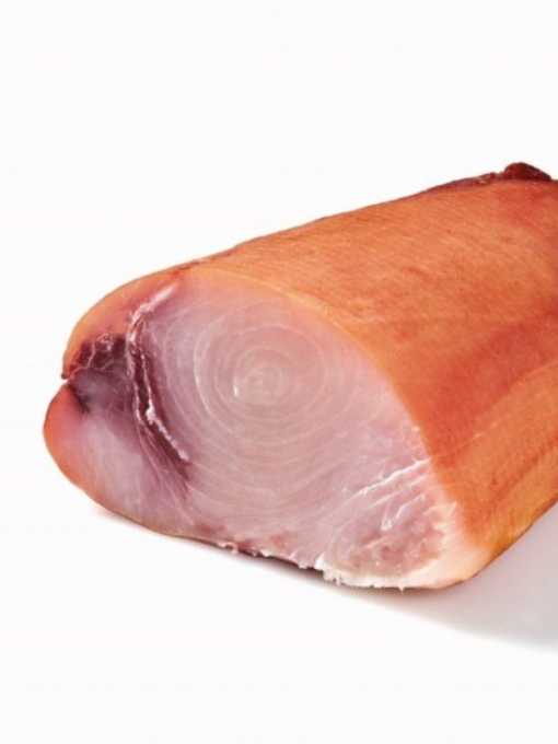 16544