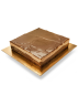 q58020 intera